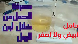 اختبار الحمل  من لون البول Pregnancy test طريقة معرفة الحمل من لون البول