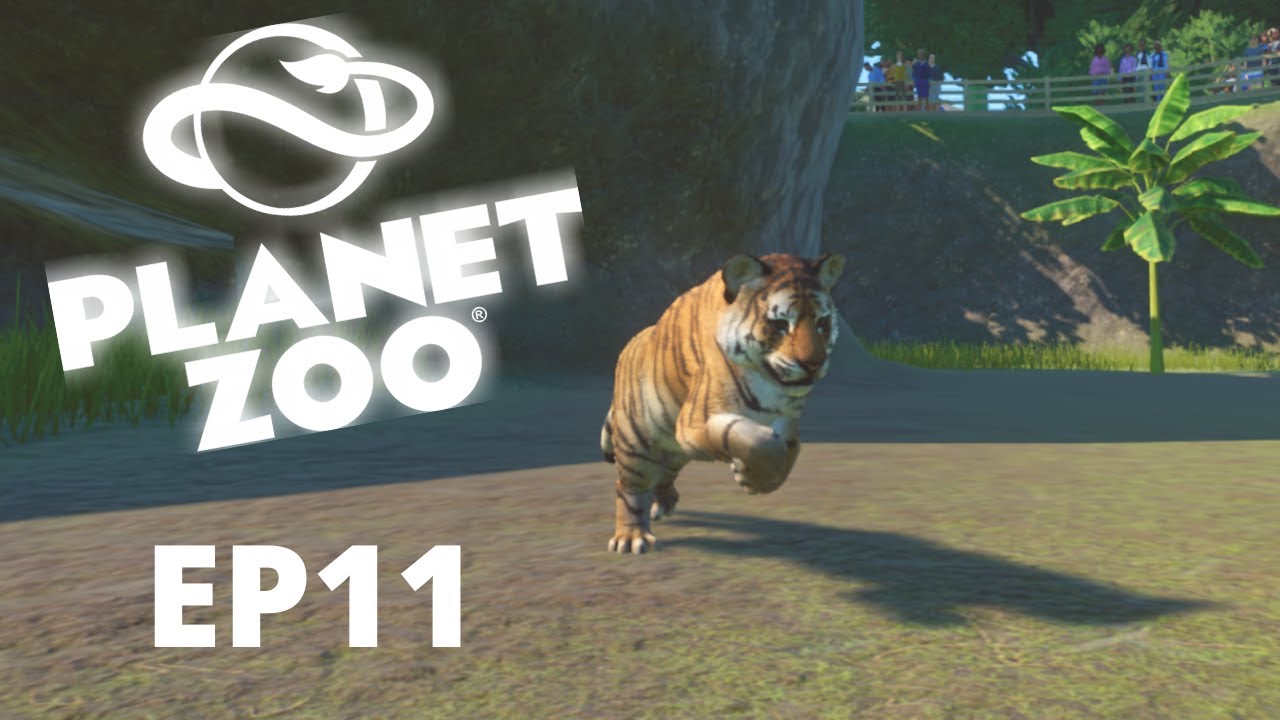 MORE BABY ANIMALS IN THE ZOO| Planet Zoo (Franchise Mode) EP11 - YouTube