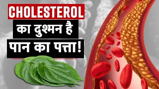 जानें कैसे Bad Cholesterol को तेजी से कम करता है पान का पत्ता?