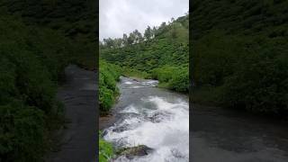 Idukki vibe #shorts #reels #waterfall #fall #travel #nature