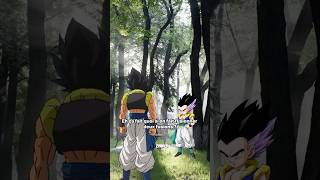 Fusionner une fusion ? (@nira.edit) #repost #tiktok #dragonball