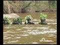 Entrenamiento en agua de los comandos de Fuerzas Especiales Ejército Nacional de Colombia