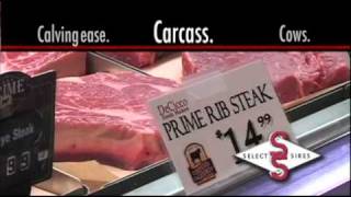 Select Sires - Calving Ease. Carcass. Cows. Part II