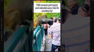 An Agressive Monkey Attacks A Man In China #monkey