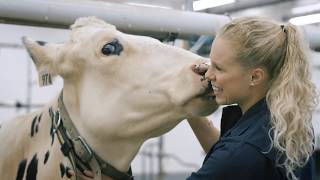 Dairy at Guelph at the Ontario Dairy Research Centre