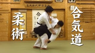 Aikido ＆ Jiu-Jitsu techniques