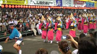 かもめ連＠南内町演舞場　～2010.8.14 徳島市阿波おどり～