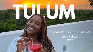 TULUM SOLO TRIP | Working Remotely for 1 Month, Exploring Tulum, Swimming w/ Whale Sharks & More!