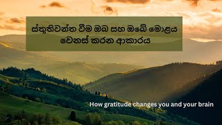 කෘතඥතාව ඔබ සහ ඔබේ මොළය වෙනස් කරන ආකාරය