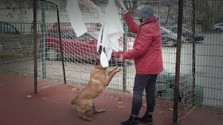 Extrém Termék Teszter - Jitsu ruha - mintha a kutya szájából húzták volna ki