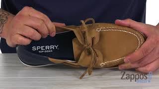 Sperry A/O 2-Eye Stern SKU: 9060715