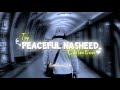 Top Peaceful Nasheeds Collection💿🎶🕊️ | Papular Best Nasheeds Playlist🌸✨ | Islamic Edits