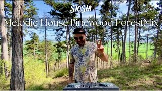 Melodic House | Pinewood Forest Mix | Above \u0026 Beyond, M.O.S., Enamour, Robby East, Melodic House