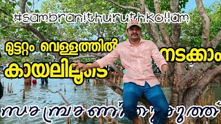 Sambranikodi കായലിനു നടുവിൽ മുട്ടറ്റം വെള്ളത്തിൽ നടക്കാം | kerala #kuttansvlog #kollam #india