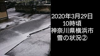 雪の状況② 神奈川県横浜市 2020年3月29日 10時頃