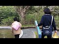 和歌山 桜の名所 亀池