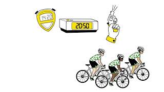 Essential information about Mallorca 312 | Ok Mobility 2024