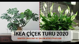 İkea Çiçek Reyonunu Sizler İçin Gezdim! | Kaktüs, Skulent ve Salon Bitkileri Fiyatları? #VLOG