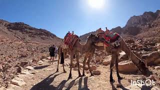 Mount Sinai Climb and St Catherine Monastery