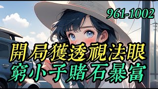 《開局獲透視法眼窮小子賭石暴富》961-1002