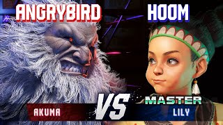 SF6 ▰ ANGRYBIRD (Akuma) vs HOOM (Lily) ▰ High Level Gameplay