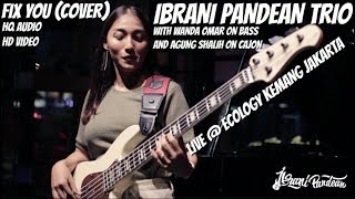 FIX YOU - COLDPLAY (COVER BY IBRANI PANDEAN TRIO) LIVE AT ECOLOGY KEMANG JAKARTA SELATAN