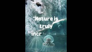 #naturewonders #amazingfacts #incrediblenature #oceanmysteries #shorts #immortaljellyfish #mindblown