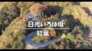 【ドローン】日光いろは坂【紅葉】_【UAV】Nikko irohazaka【Autumn leaves】