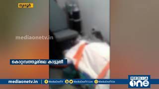 കൊറ്റമ്പത്തൂരിലെ കാട്ടുതീ: അന്വേഷണം ഊര്‍ജിതമാക്കി വനം വകുപ്പ്