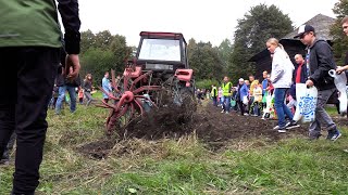 Dzień kartofla w chorzowskim skansenie 24.09.2022