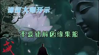 #谛深大师 不要错解因缘果报 480p