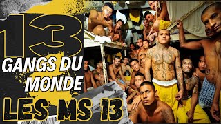 GANGS DU MONDE - LES MS 13 - #Prison #MaraSalvatrucha #Maras #Trafic #Deal #Latino #Cartel #Cocaïne