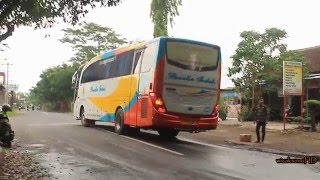 Ada tamu di Terminal Bus Jombor Yogyakarta