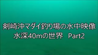 【剣崎沖の海中映像】  剣崎沖マダイ釣り場　あまさけや丸 PART2  red sea bream fishing