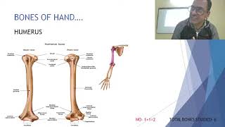 LIVE CLASS on Bones of hand #anatomy