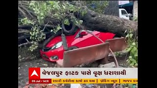 Navsari: Damage to vehicles caused by falling tree near Vejalpur Gate