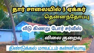 Dindigul district kannivadi 3 acre coconut garden , good water,  road facing property low budget