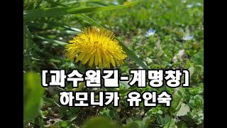 [과수원길-계명창] 하모니카 유인숙/Yu In Sook Harmonica