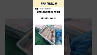 실존하는 형상기억종이로 만든 지폐