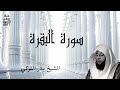 سورة البقرة كاملة تلاوة هادئة  بصوت الشيخ بدر التركي  Surah Al Baqara by Sheikh Bader Al-Turki