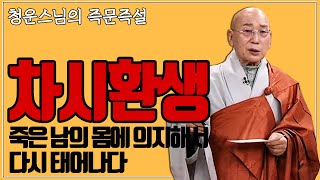 |#즉문즉설|죽은 남의 몸에 의지해서 다시 태어나다 #청운스님