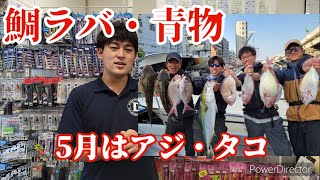 釣果情報と5月のDマリーナ