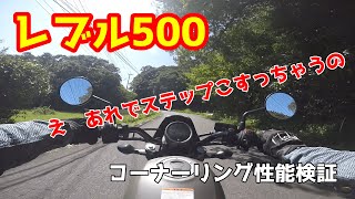 レブル500で調子にノルとこうなります