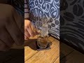 果香冰釀咖啡☕️😋 咖啡 湛廬咖啡