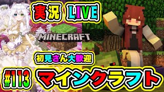 【マイクラ🌍】開拓＆建築✨整地しながらサバイバル生活🛠️まったり作業配信🌟初見さん大歓迎💖【氷川つき/VTuber】#マイクラ  #Minecraft  #113