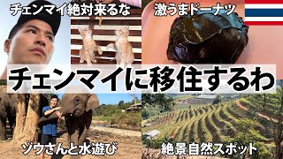 【絶対来るな】タイ・チェンマイ1ヶ月ひとり旅第3話。旅行で絶対行きたい最高の街。移住｜観光｜ナイトマーケット｜グルメ｜コンドミニアム