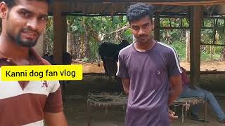 எஜமானை தேடி 60 Km பயனித்த கன்னி நாய் | அதை பற்றி ஒரு சின்ன தொகுப்பு |Kanni dog