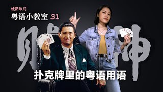 如何像发哥一样帅气”打啤“ 看《赌神》学粤语 | 粤语小教室 31