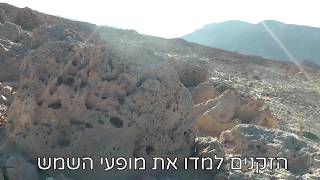 חוכמת הטאו