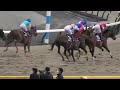 2023 02 19 東京競馬場第11レース　第40回フェブラリーステークス　（福永祐一　国内Ｇ１最終騎乗）レモンポップ・ドライスタウト・レッドルゼル他